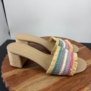 J Crew Factory Woven Mule Heels in Rainbow striped straw Raffia bw886 sz 9
